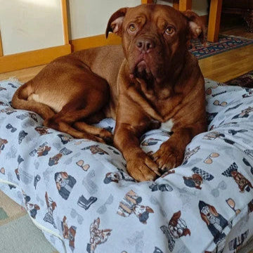 Cama de loneta Brown