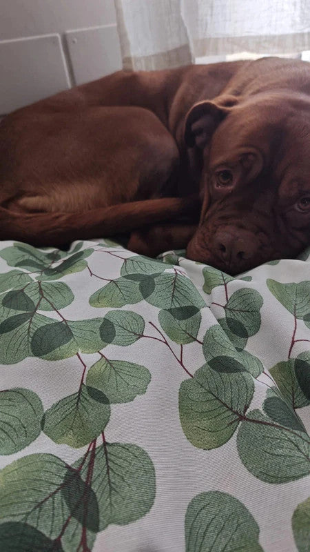 Funda de cama impermeable Tropical oasis bed